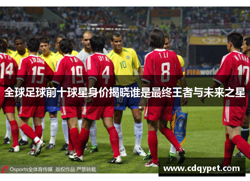 全球足球前十球星身价揭晓谁是最终王者与未来之星