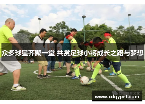 众多球星齐聚一堂 共赏足球小将成长之路与梦想