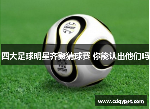 四大足球明星齐聚猜球赛 你能认出他们吗