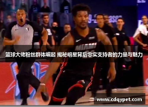 篮球大佬粉丝群体崛起 揭秘明星背后忠实支持者的力量与魅力