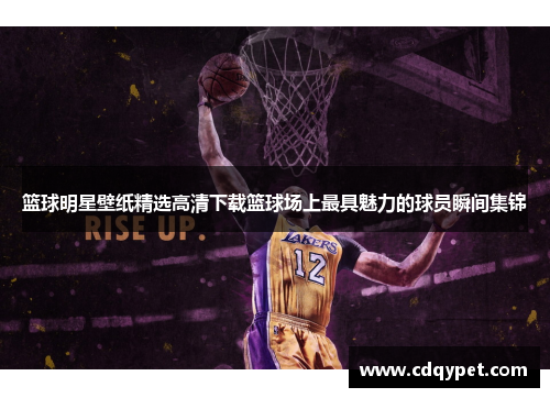 篮球明星壁纸精选高清下载篮球场上最具魅力的球员瞬间集锦