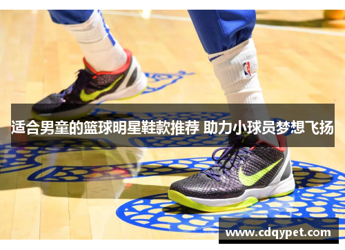 适合男童的篮球明星鞋款推荐 助力小球员梦想飞扬