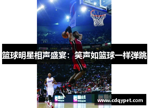 篮球明星相声盛宴：笑声如篮球一样弹跳