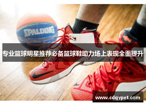 专业篮球明星推荐必备篮球鞋助力场上表现全面提升
