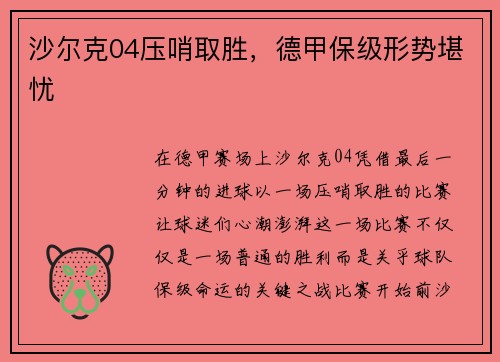 沙尔克04压哨取胜，德甲保级形势堪忧